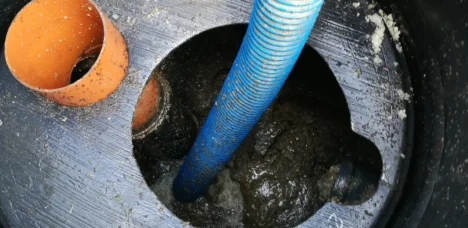 IMG_20180728_114604 1